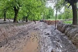 هشدار سیلاب در جنوب کرمان | تخلیه اضطراری روستاهای فاریاب پس از بارندگی شدید