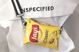 کیف 1800 دلاری در فشن شو که شبیه پاکت چیپس است! + ویدئو
