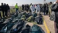 ساخت پارکی در اوکراین برای یادبود قربانیان سانحه سقوط هواپیما 
