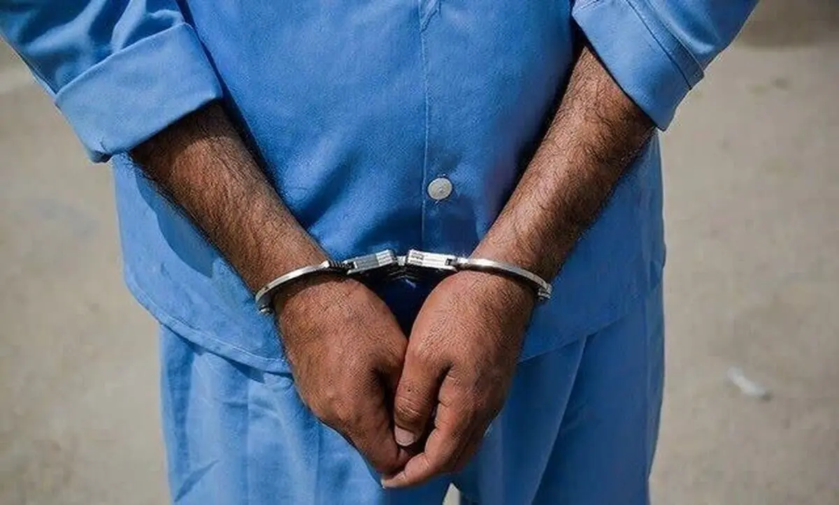 قاتل سریالی مجازی بازداشت شد | رعب و وحشت و تهدید کاربران در فضای مجازی پایان یافت 