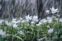 فعالیت سامانه بارشی در آذربایجان غربی تا آخر هفته تداوم دارد