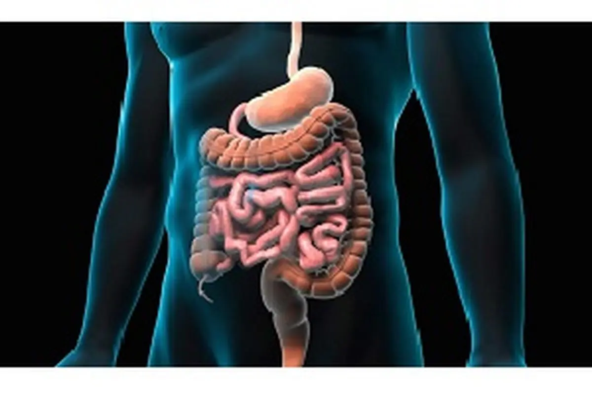 
چگونه می توانیم با التهاب روده مبارزه کنیم؟
