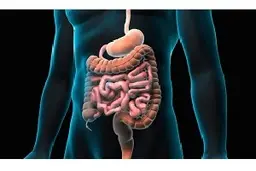 
چگونه می توانیم با التهاب روده مبارزه کنیم؟

