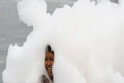 ظاهر شدن کف‌های سمی در رودخانه یامونا هند+ویدئو