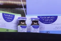 معاون موسسه رازی: زمان احتمالی آغاز مرحله دوم تست انسانی واکسن رازی خردادماه است
