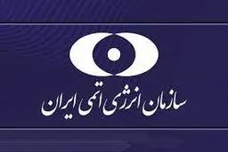 واکنش سازمان انرژی اتمی به ادعای گروه هکری «بلک‌ریوارد» | سازمان انرژی اتمی بیانیه داد