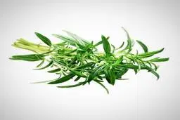 خواص و عوارض باورنکردنی مرزه | با این گیاه حسابی لاغر شوید !