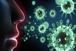 چه کنیم تا سرما نخوریم|توصیه های طب سنتی