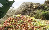 
۳۵ درصد محصولات کشاورزی ایران به ضایعات تبدیل می‌شود