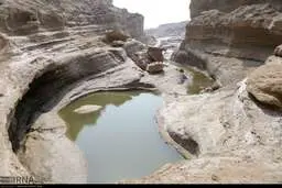 گوش ژئوپارک زیر تیغ پرورش میگو است