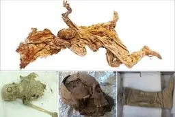 راز مرگ غم‌انگیز معدنچیان باستانی در آغوش نمک | داستان تکان‌دهنده مردان نمکی؛ سفری به اعماق تاریخ کشف راز ۲۵۰۰ ساله