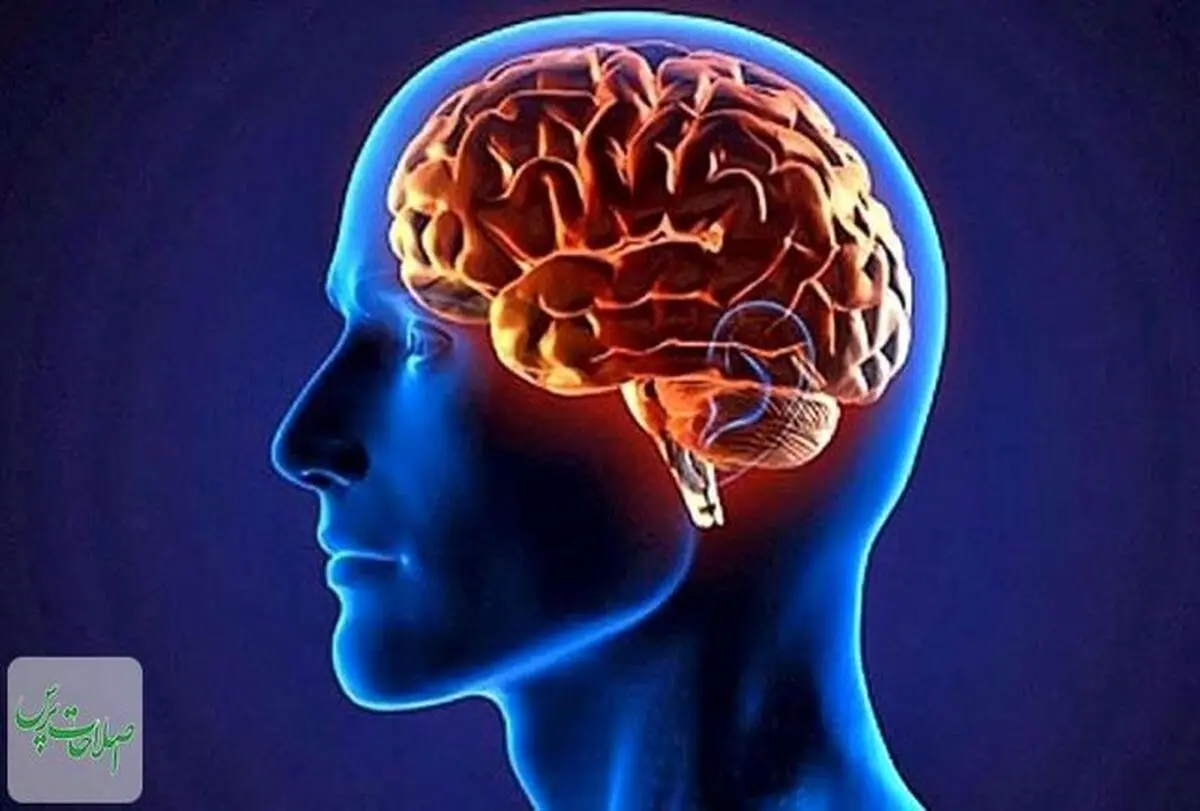 چرت نیمروزی به چابکی و نشاط ذهن کمک می کند