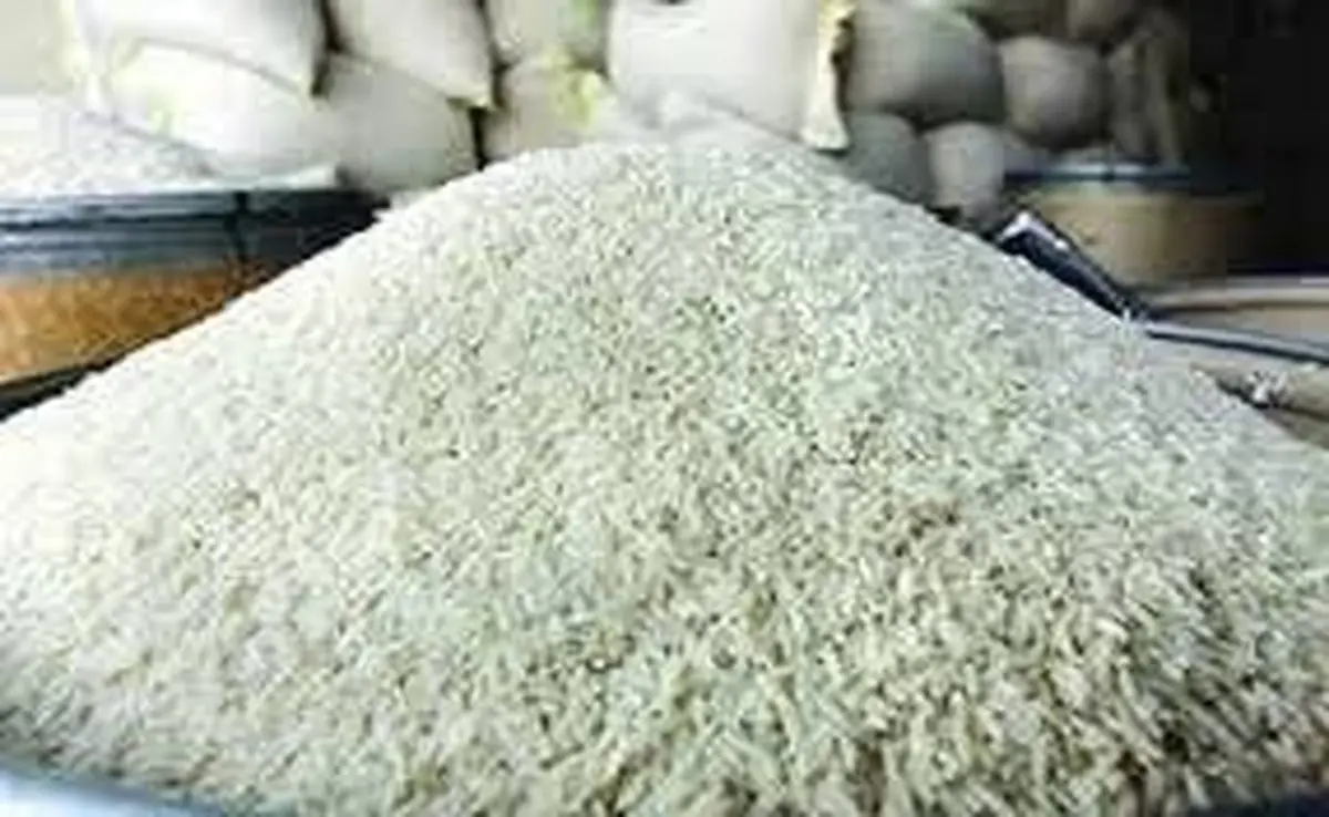  افزایش قیمت برنج ایرانی | علل افزایش قیمت برنج در کشور 