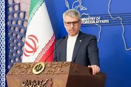 بقائی: کنار گذاشتن اروپایی‌ها از مذاکرات، انتخاب خودشان بود