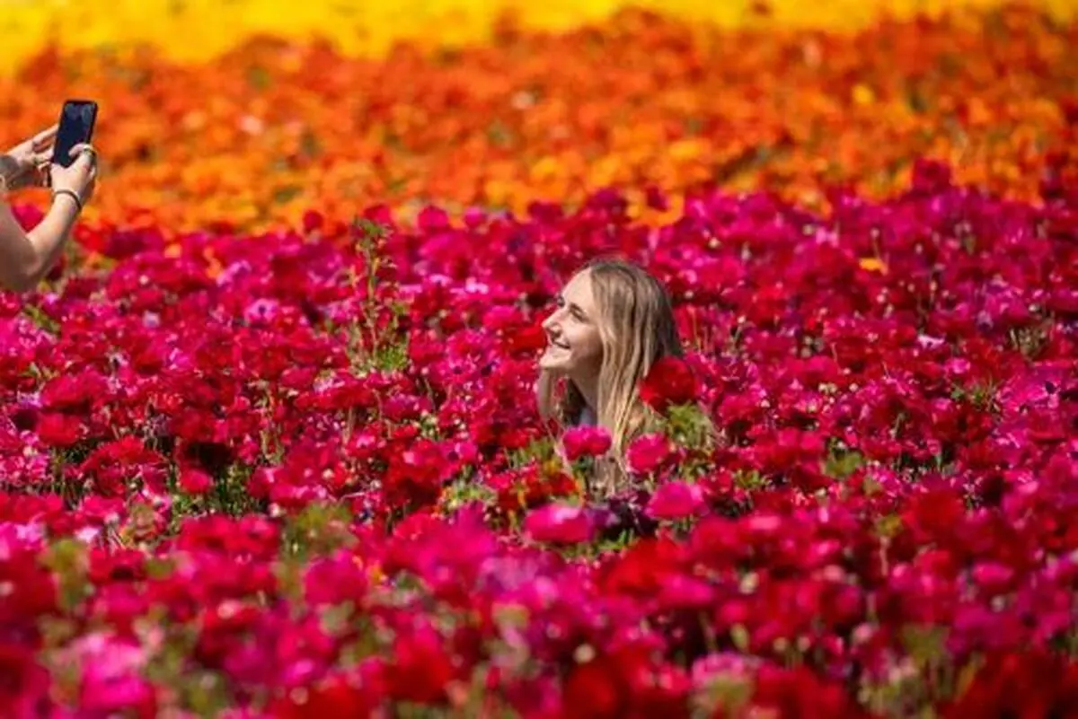 دیدنی های امروز؛ از سیل ورود پناهجویان به آمریکا تا اعتراضات میانمار