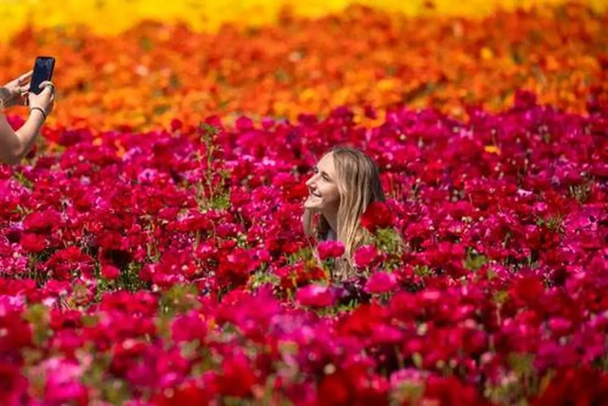 دیدنی های امروز؛ از سیل ورود پناهجویان به آمریکا تا اعتراضات میانمار