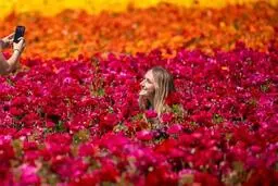 دیدنی های امروز؛ از سیل ورود پناهجویان به آمریکا تا اعتراضات میانمار