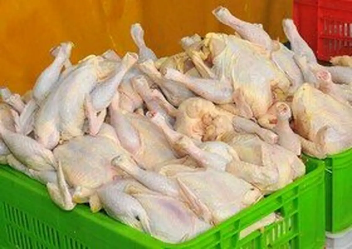 کاهش ۲۰۰۰ تومانی قیمت مرغ
