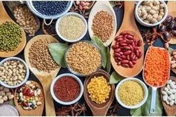  خواص ضدویروسی این نوع حبوبات در مقابله با کرونا
