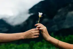 چطور کسی رو که حتی از ما معذرت خواهی هم نکرده ببخشیم؟!