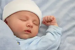  با  استشمام بوی نوزادان پرخاشگری در زنان افزایش و در مردان کاهش  می‌یابد