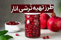 طرز تهیه ترشی انار | تا فصلشه این ترشی معرکه را درست کنید 