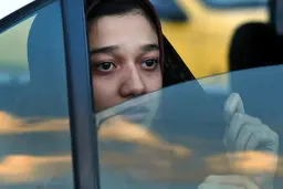 مدیر هنری جشنواره برلین «یلدا» را با آثار سیدنی لومت مقایسه کرد