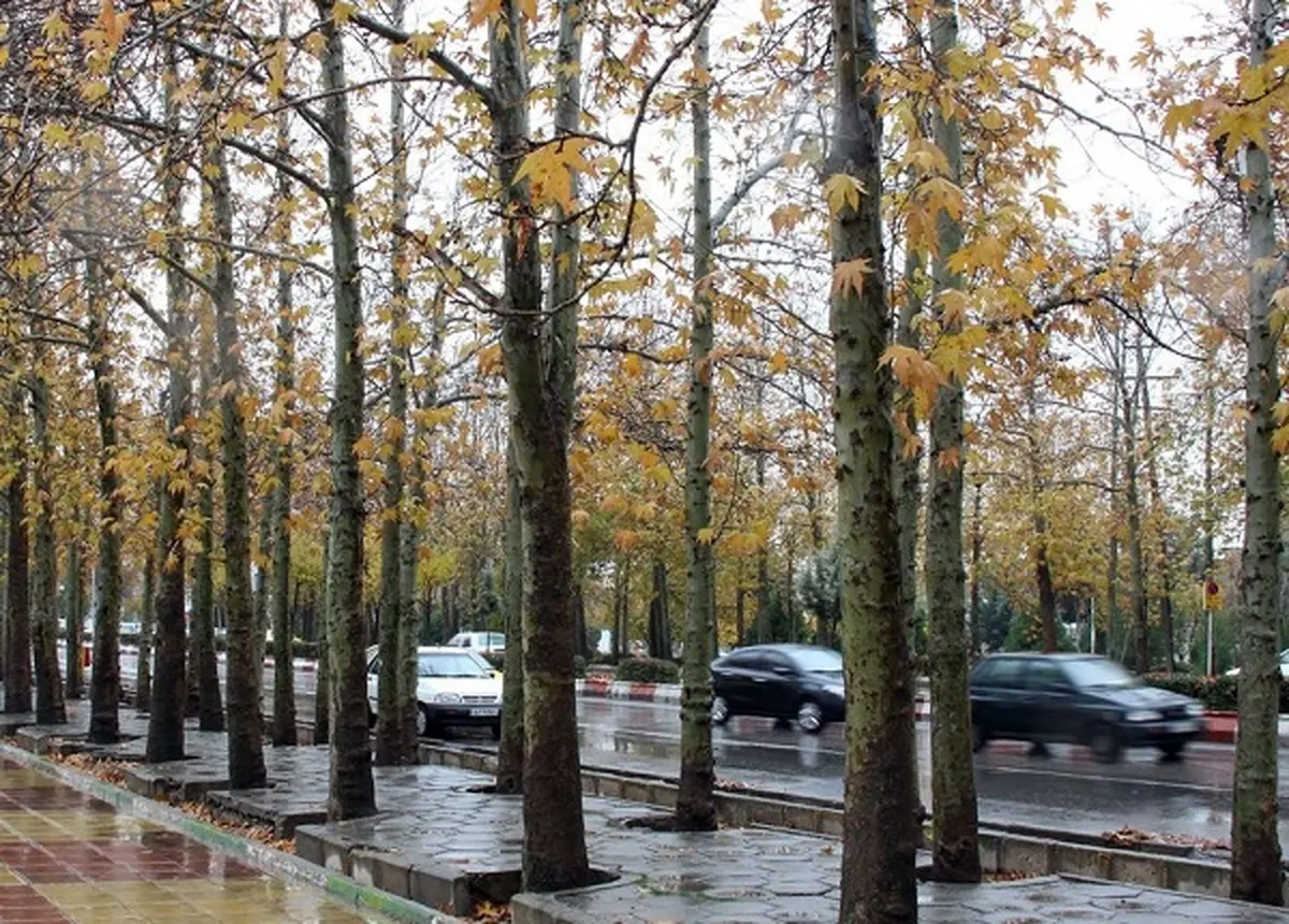 
پیش‌بینی بارش باران و برف در استان تهران
