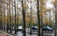 
پیش‌بینی بارش باران و برف در استان تهران
