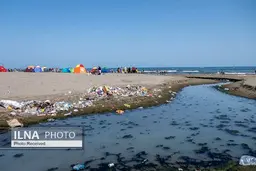 ورود فاضلاب خانگی به دریای خزر | میزان بالای آلودگی دریا به "باکتری روده"