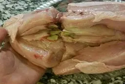 علت سبز شدن عضله سینه مرغ 