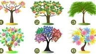تست شخصیت‌شناسی: با انتخاب یکی از این درختها، ویژگی شخصیتی غالب خود را بشناسید!