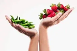 راه حل ساده برای اینکه لاغر شوید