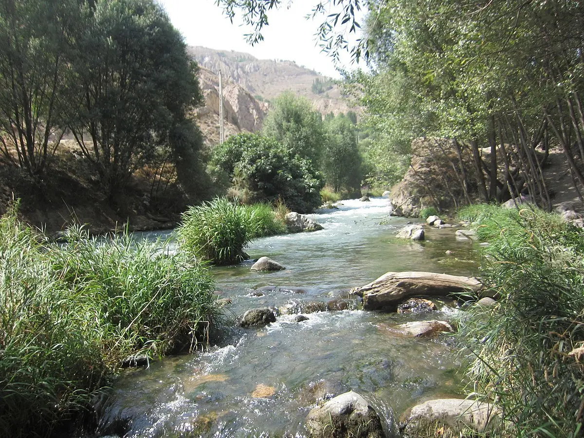 اگه اینو ببینی دیگه لب به آب رودخانه نمی‌زنی | تو رودهایی که باهاشون آشنا نیستین آبتنی نکنین | آب رودها٬ آب آشامیدنی نیست +ویدئو