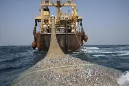 چینی ها کف‌ دریای عمان را همچنان جارو می کنند یا متوقف کرده اند؟