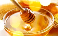 ترکیب عسل و سیاه دانه معجزه میکند | خواص بی نظیر سیاه دانه و عسل