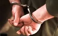  ۴ نفر دیگر از عاملان دخیل در شهادت یک مامور ناجا در کرمان دستگیرشدند