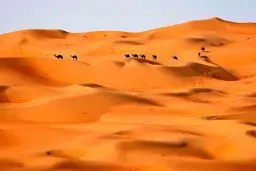 دیدنی‌ های امروز؛ از توفان برفی اروپا تا باز شدن مرز زمینی عربستان و قطر