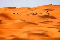 دیدنی‌ های امروز؛ از توفان برفی اروپا تا باز شدن مرز زمینی عربستان و قطر