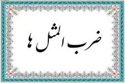 داستان یک ضرب‌المثل: کشک چی؟ پشم چی؟