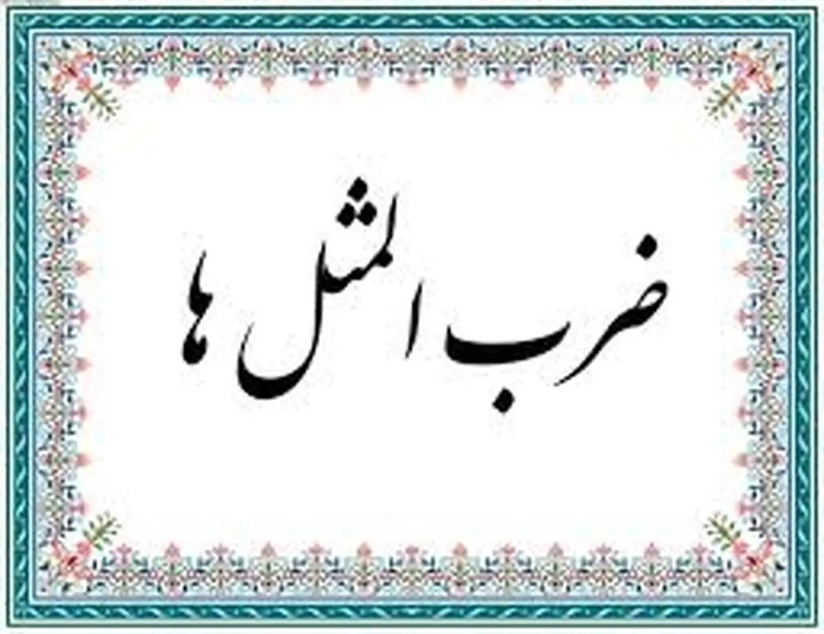 داستان یک ضرب‌المثل: کشک چی؟ پشم چی؟