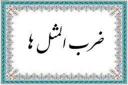 داستان یک ضرب‌المثل: کشک چی؟ پشم چی؟