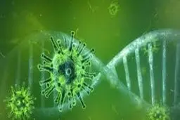 شهرداری تهران از کرونا حدود ۲۵۰۰ میلیارد تومان خسارت خورد