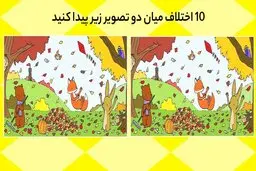 تست هوش |  10 اختلاف میان این دو تصویر پاییزی زیبا را پیدا کنید؟+ پاسخ
