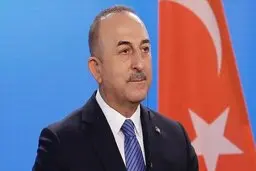 
چاووش اوغلو فردا به تهران می‌آید
