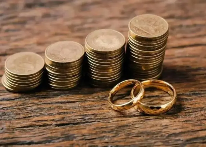 معاون امور زنان ریاست‌جمهوری درباره مصوبه اصلاح مهریه: تعداد سکه تعیین شده، مبنای کارشناسی ندارد | نسبت به این قانون ایرادات متعددی داریم
