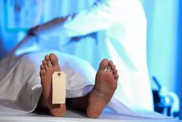 راز مبهم مرگ پسر 18 ساله تهرانی در خانه شوگرمامی اش | مادر پرهام شکایت کرد!