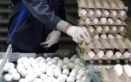 تخم مرغ ۱۳هزار تومان گران شد
