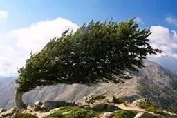 
هواشناسی |  در زابل خیزش گردوخاک  شعاع دید افقی راکاهش داده است.