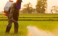 سموم و کودهای شیمیایی: خطری پنهان در
سفره‌های ما